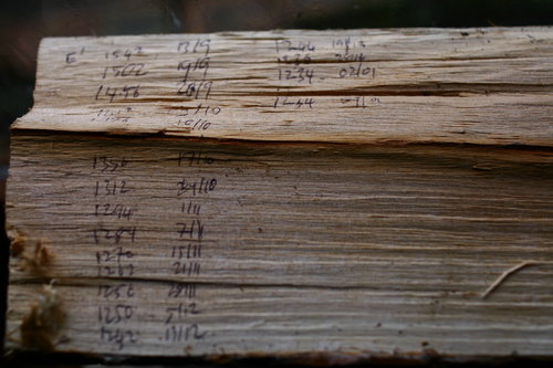 Log G from Set A showing recorded mass and date 